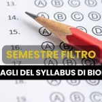 SEMESTRE FILTRO