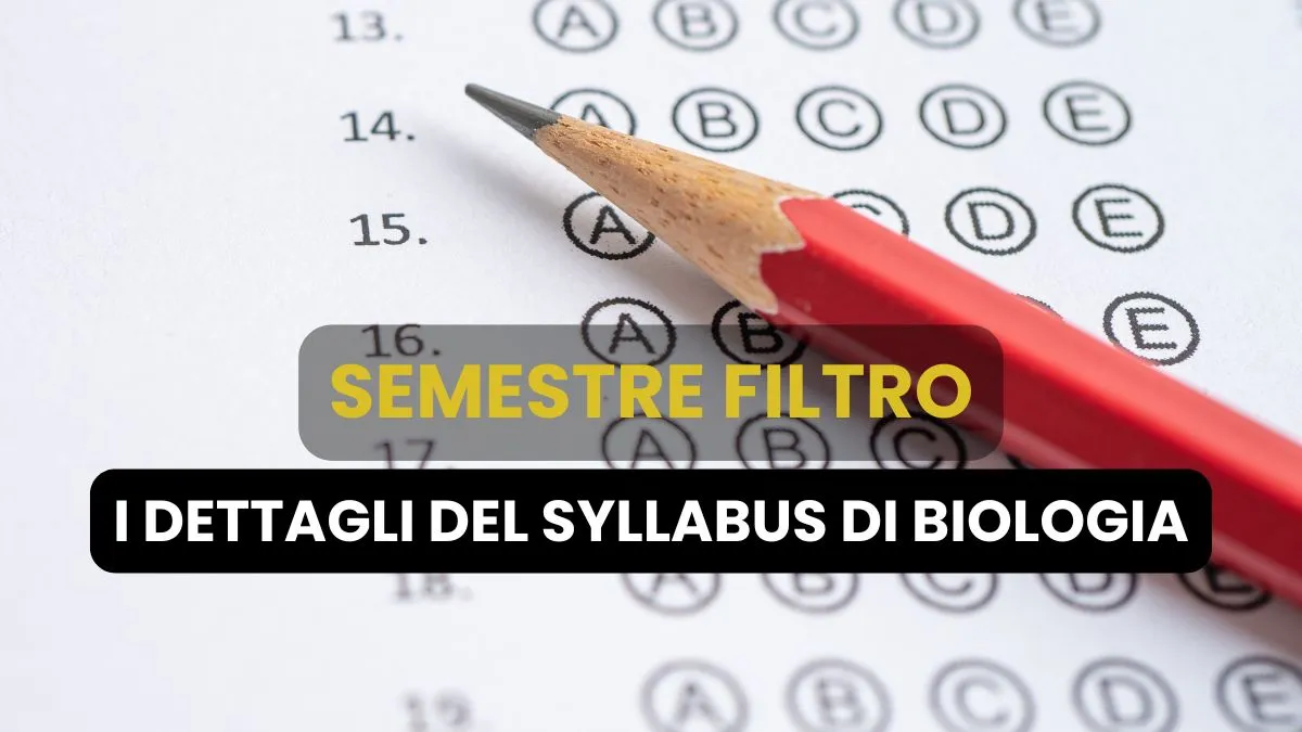 SEMESTRE FILTRO